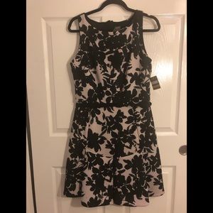 NWT Taylor dress in blush/black print.  Size 12.
